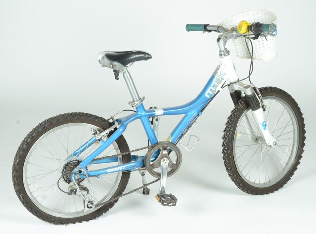 Giant MTX 125 7-Speed Children's Bicycle