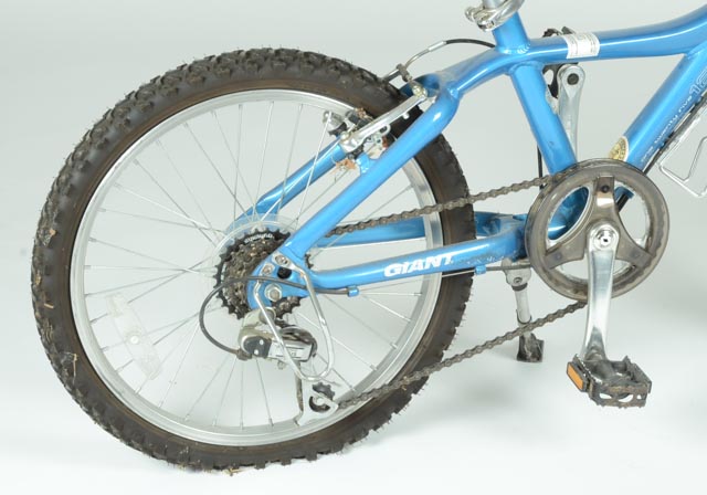 Giant MTX 125 7-Speed Children's Bicycle