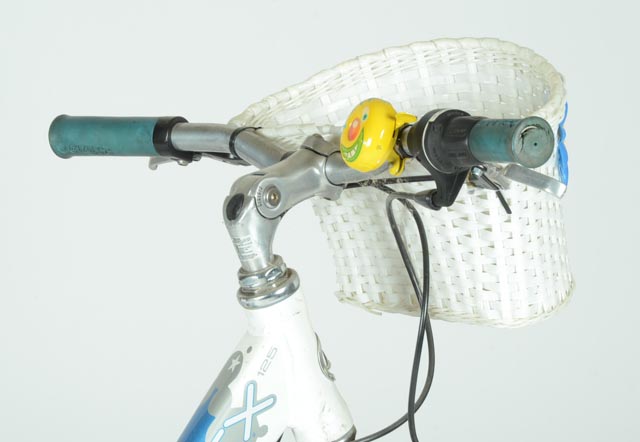 Giant MTX 125 7-Speed Children's Bicycle