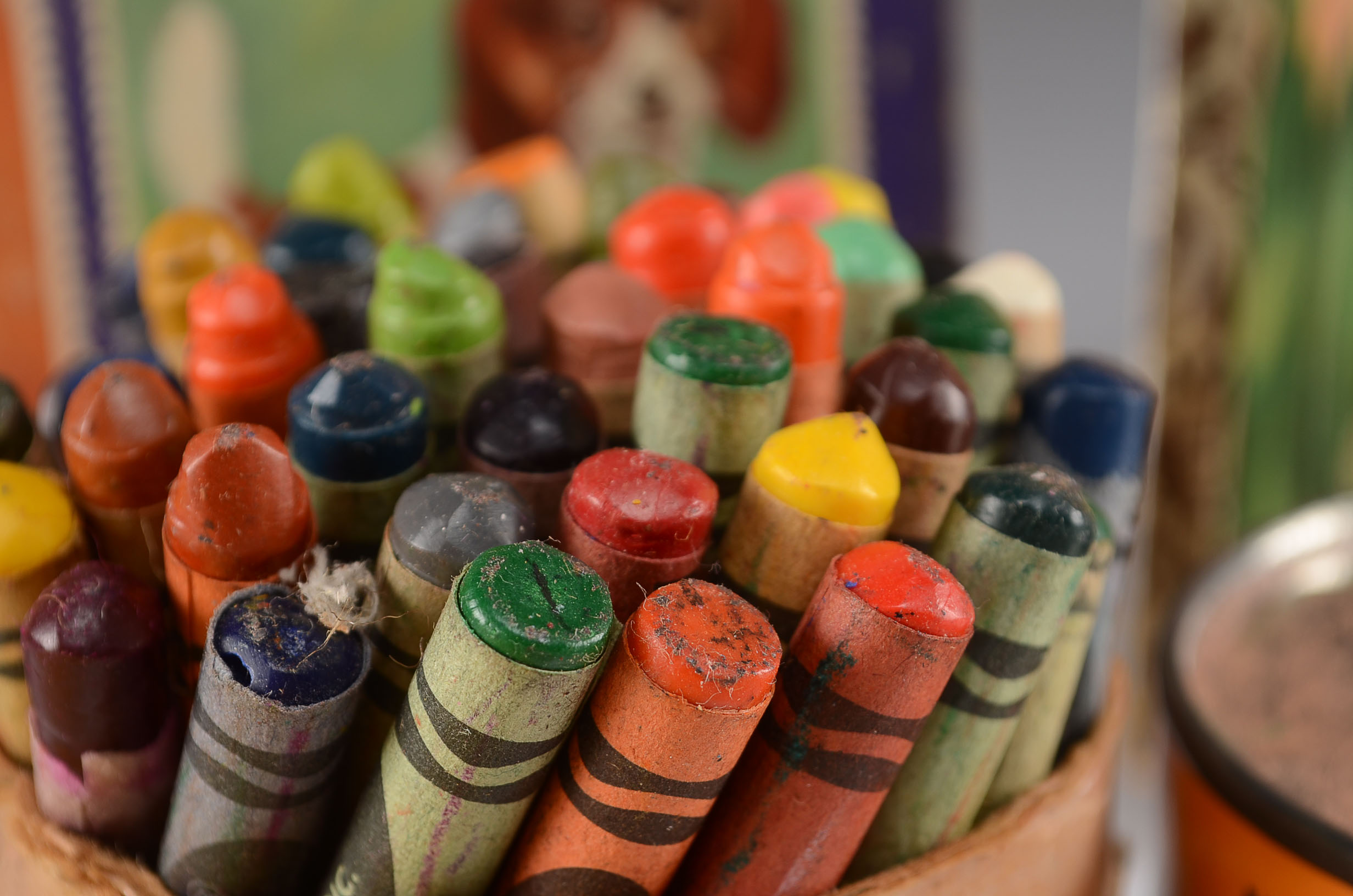 Assorted Children's Books An Vintage Crayola Cayons