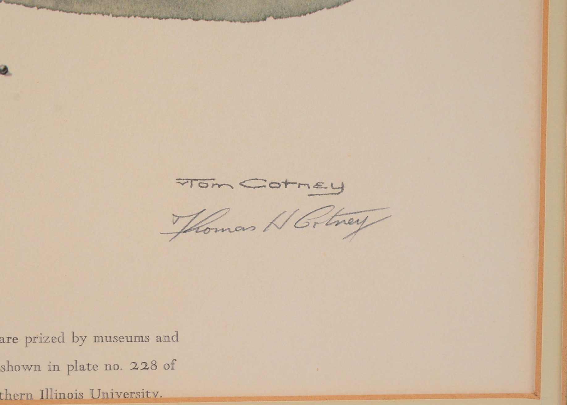 Framed Print by Thomas Cotney Titled "Bluebill Decoys"