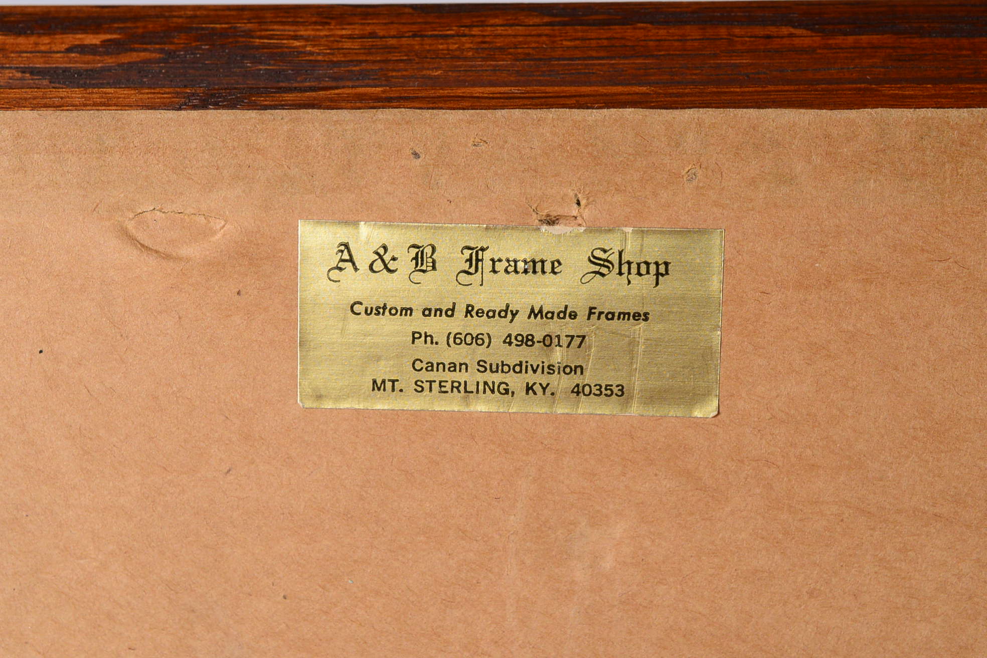 Framed Print by Thomas Cotney Titled "Bluebill Decoys"