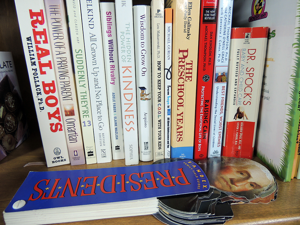 Shelf Lot Comic Strip, Raising Children and Mickey Books