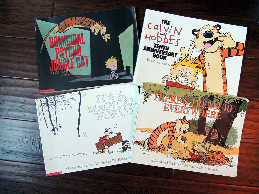 Shelf Lot Comic Strip, Raising Children and Mickey Books