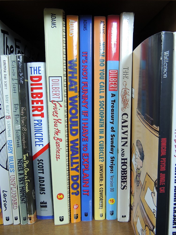 Shelf Lot Comic Strip, Raising Children and Mickey Books