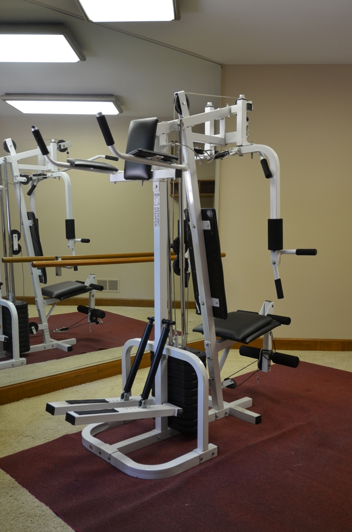 Weider E8002 Home Gym