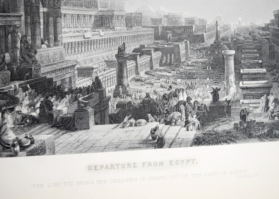 A Rare 1883/1884 Douay-Rheims Bible, Profusely Illustrated