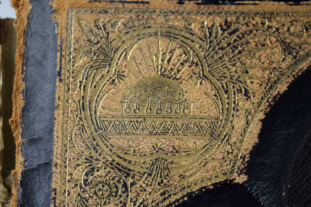 A Rare 1883/1884 Douay-Rheims Bible, Profusely Illustrated