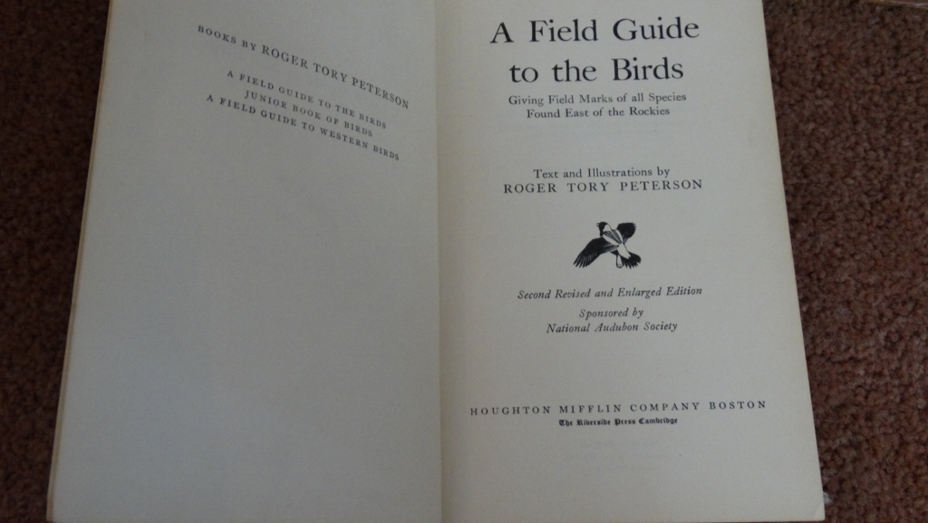 Fiberglass Paint Palettes, Foster Art Guides, and Bird Guide