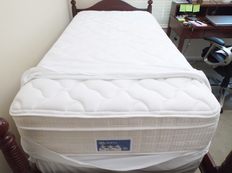 Serta Gazelle Euro Top Twin Mattress 