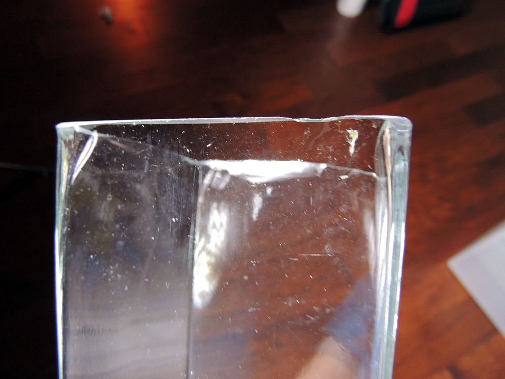 Flower Vase Collection