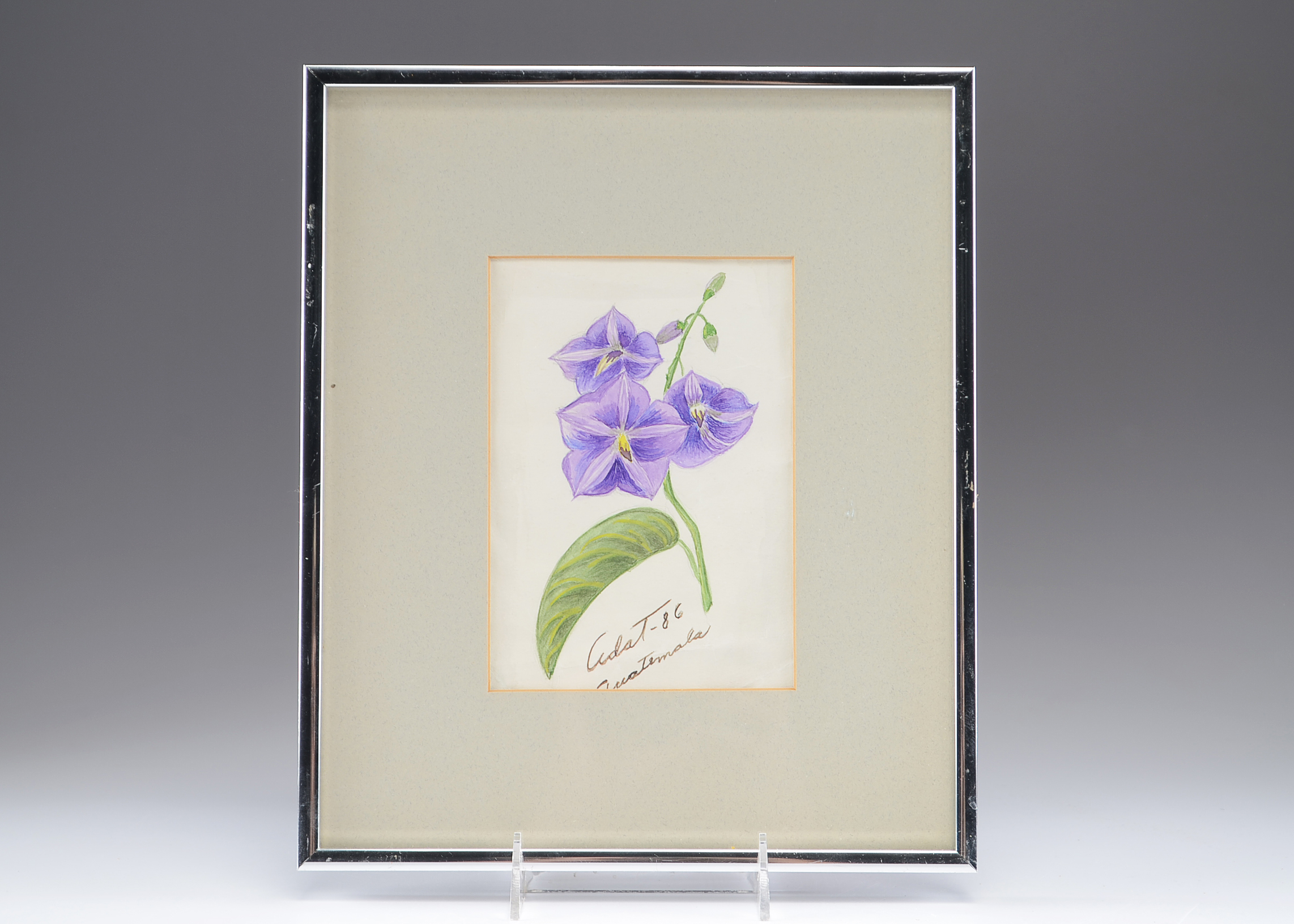 Original Framed Floral Artwork