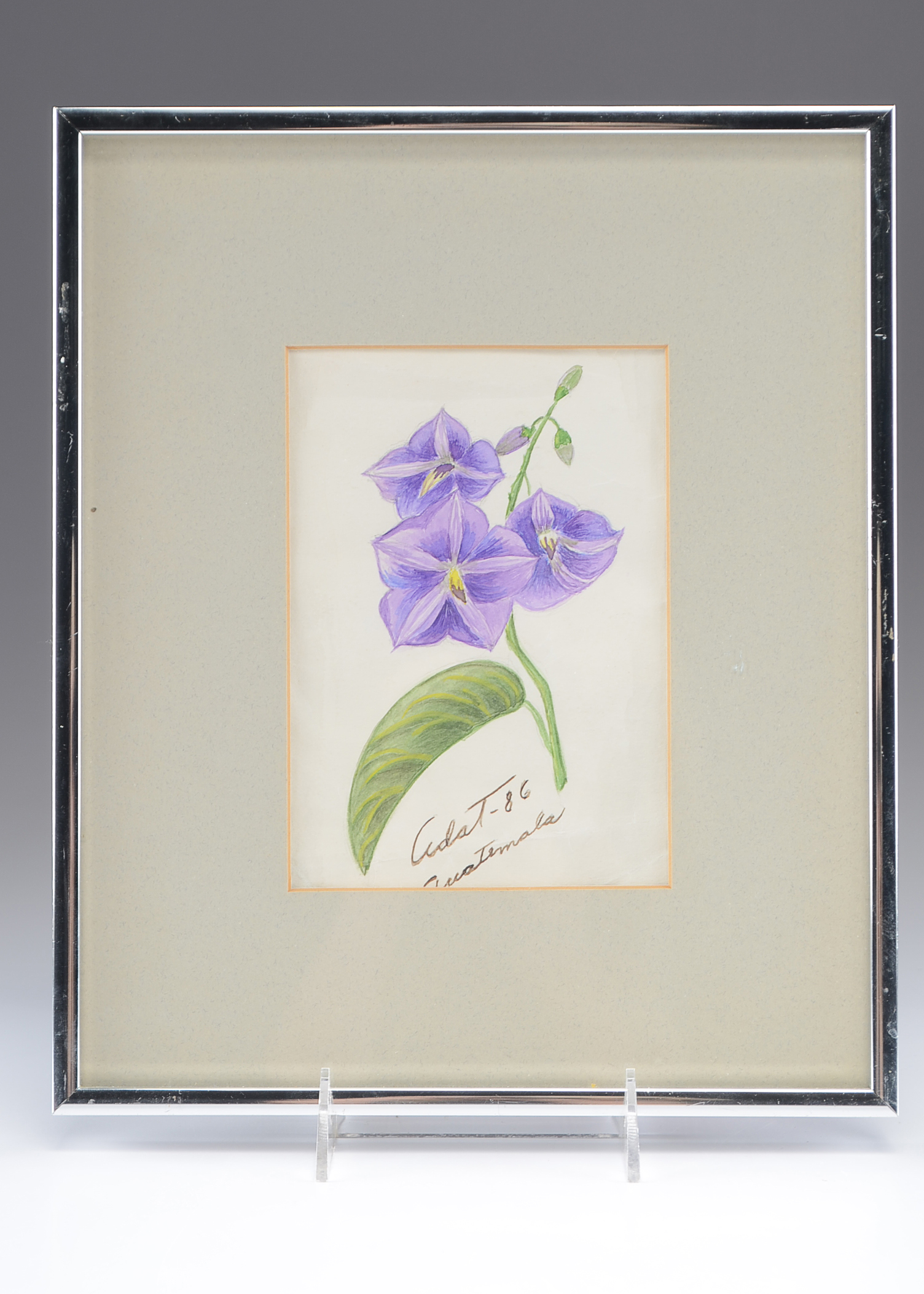 Original Framed Floral Artwork