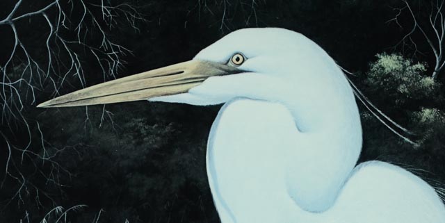 Lithograph Art Print, Great White Heron by Gerard Smith.