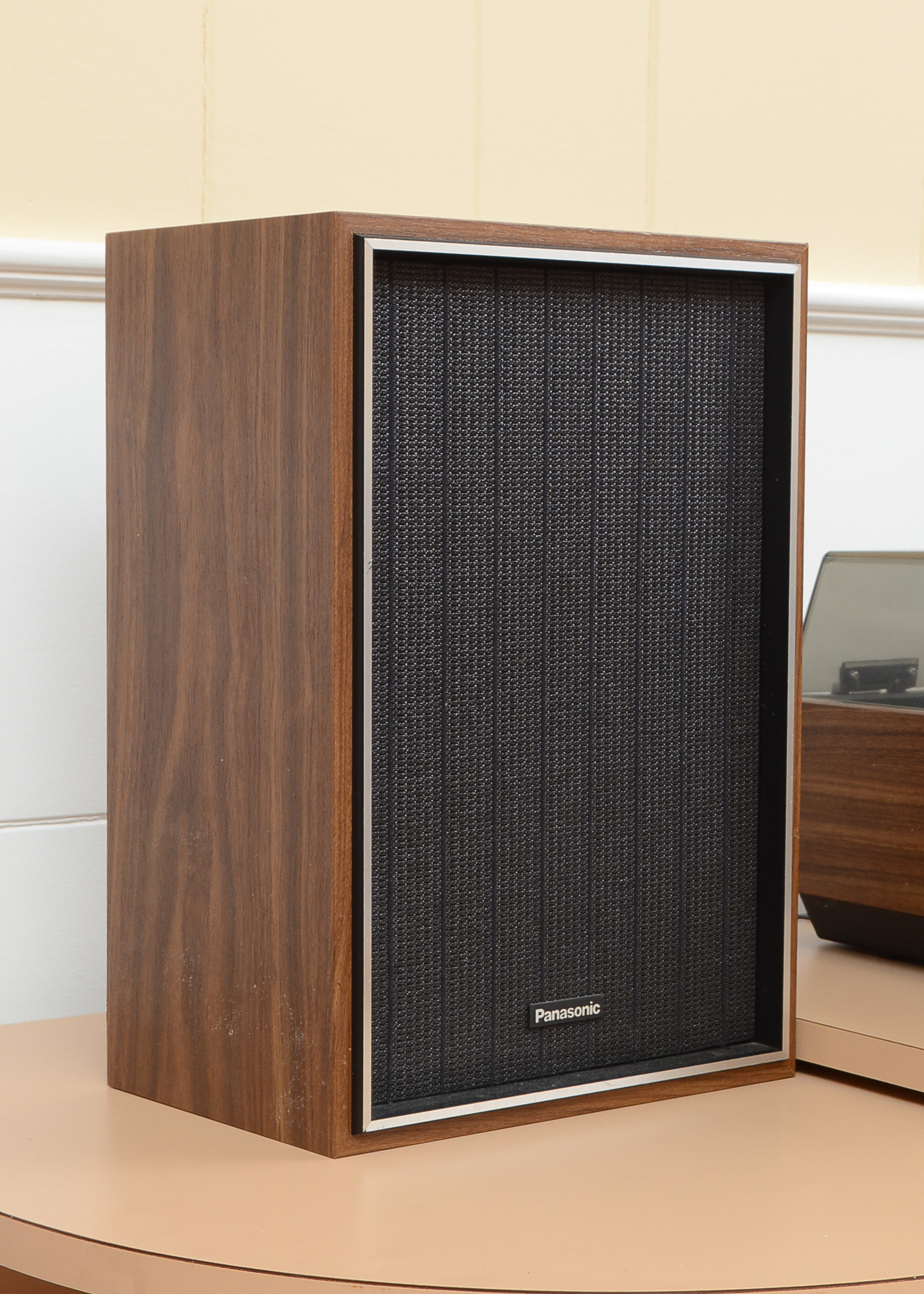 Panasonic Turntable and Speakers