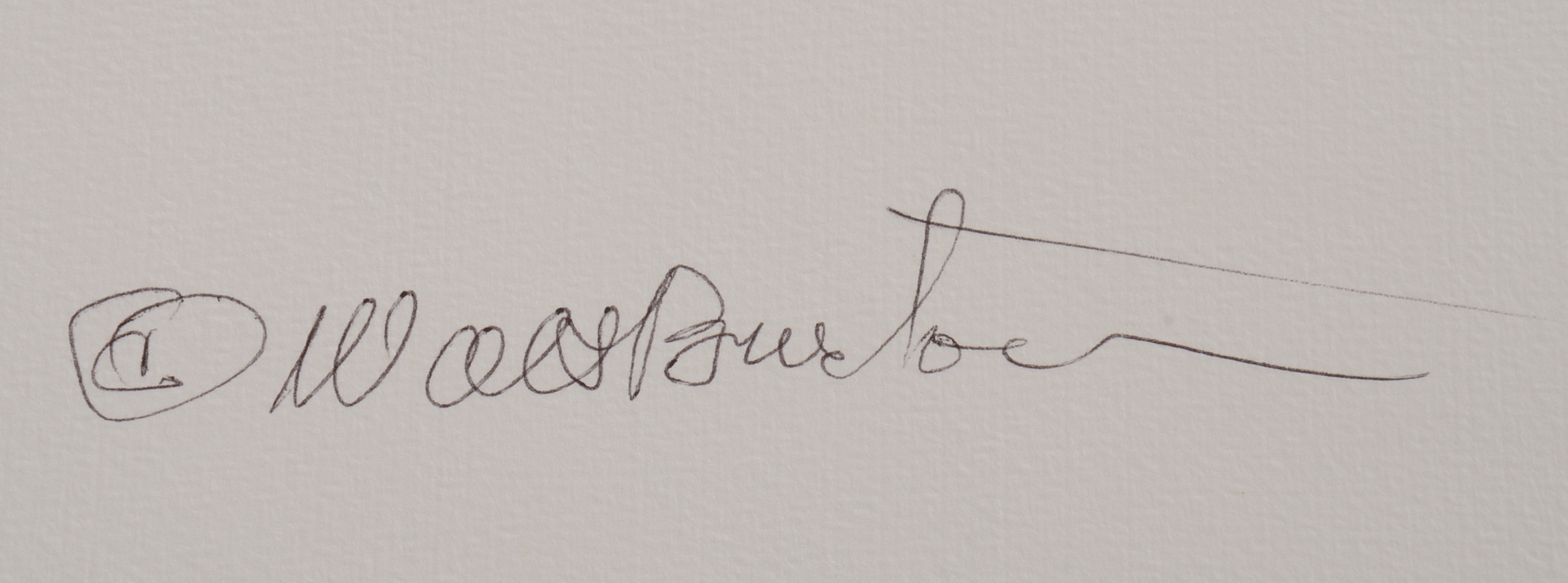 Original Walt Burton Digitally Printed Photo Collage 