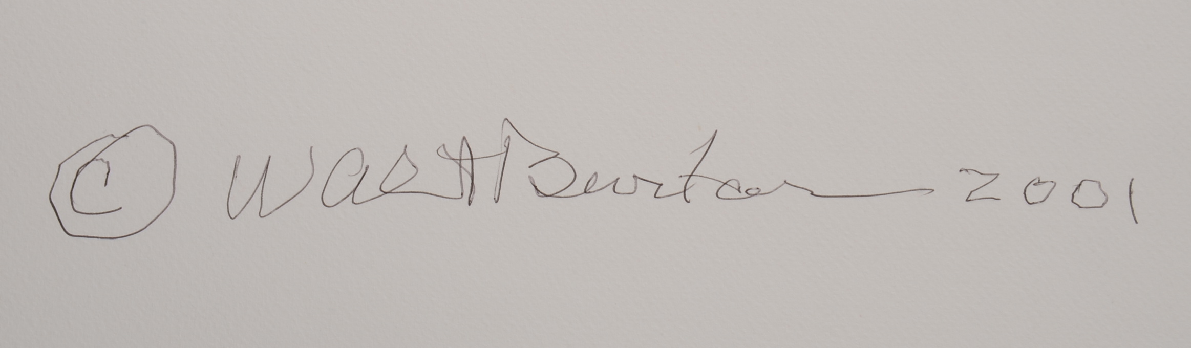 Original Walt Burton Digitally Printed Photo Collage 