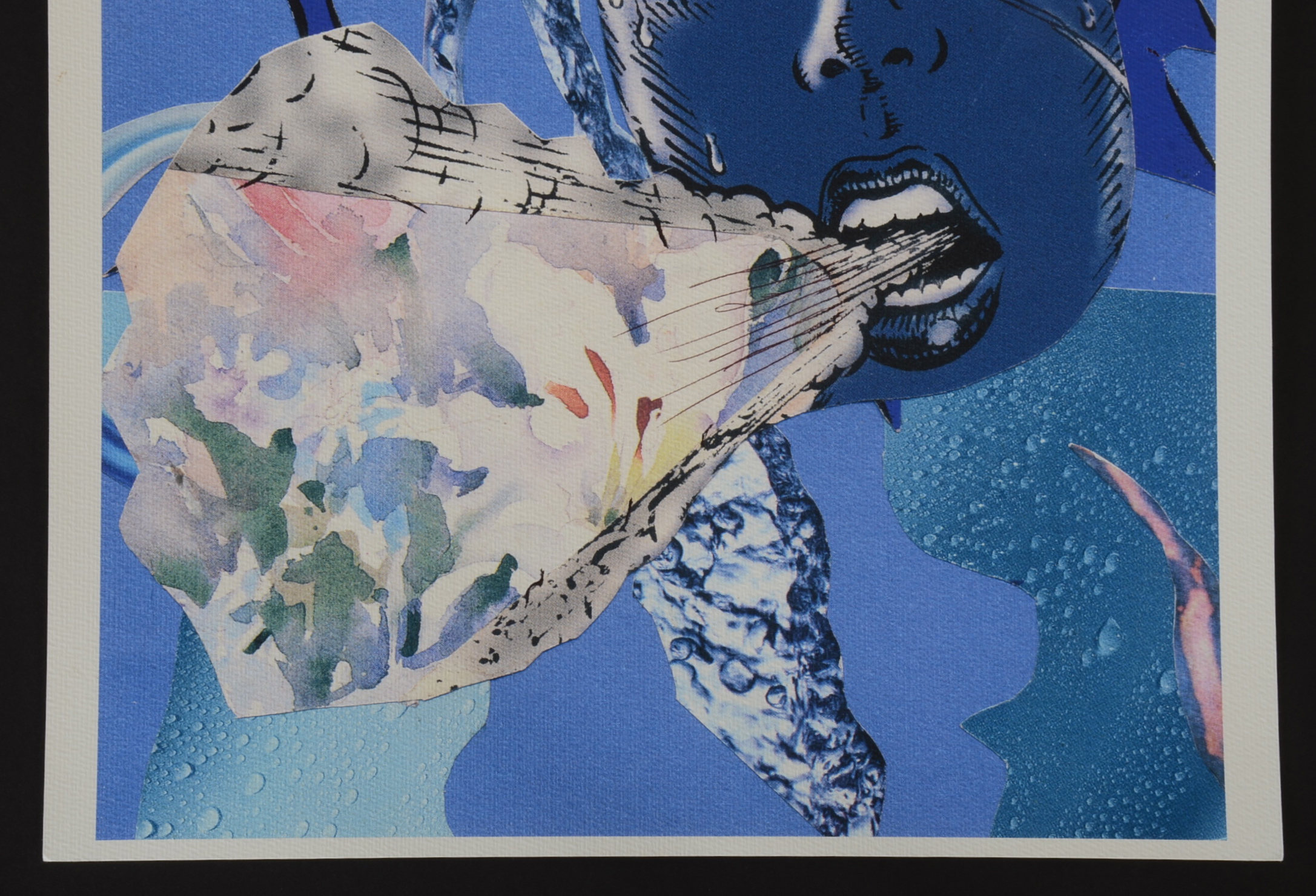 Original Walt Burton Digitally Printed Photo Collage 