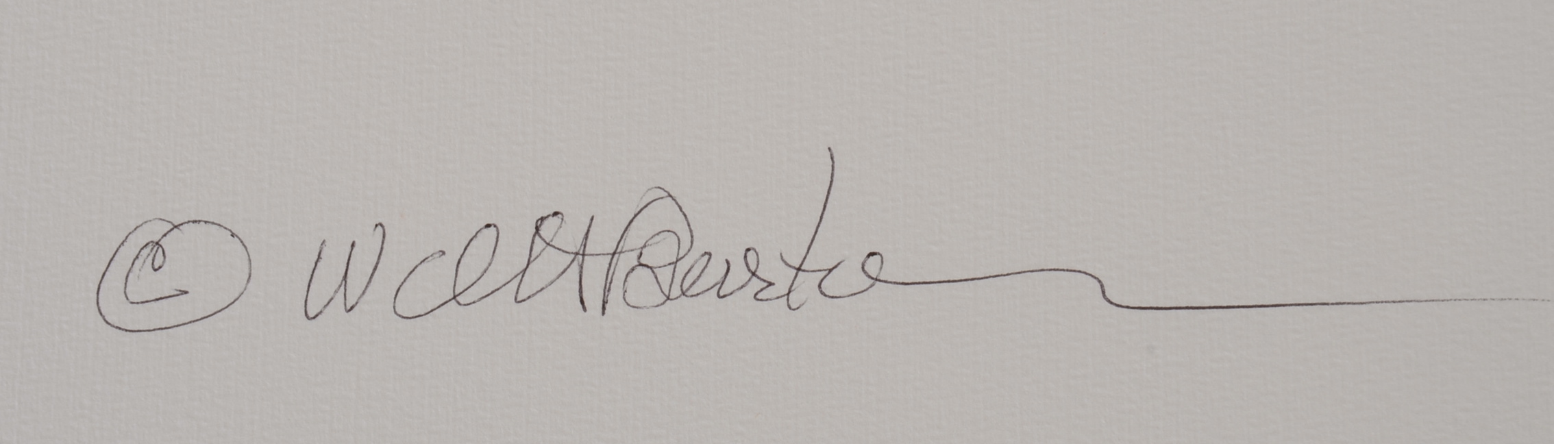 Original Walt Burton Digitally Printed Photo Collage 