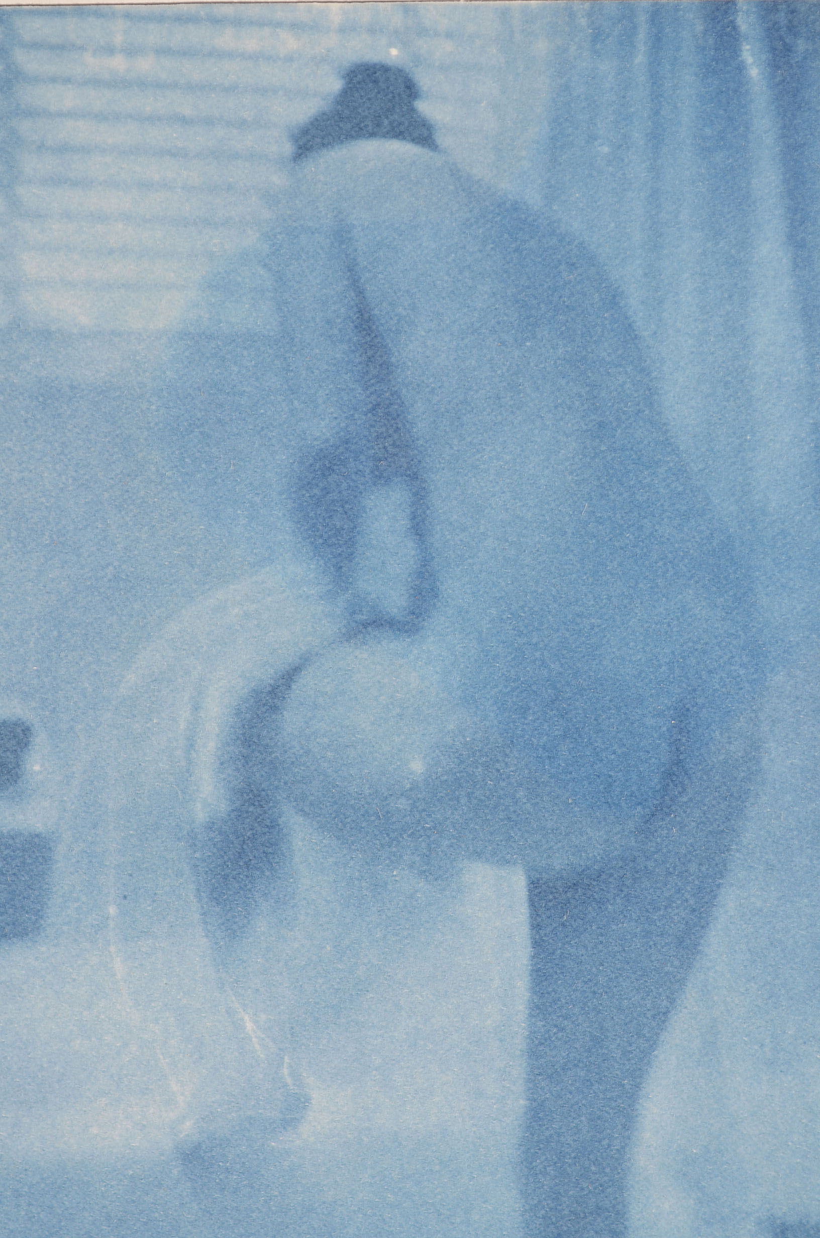 Ted Jones Nude Female in Bathroom Gum Print