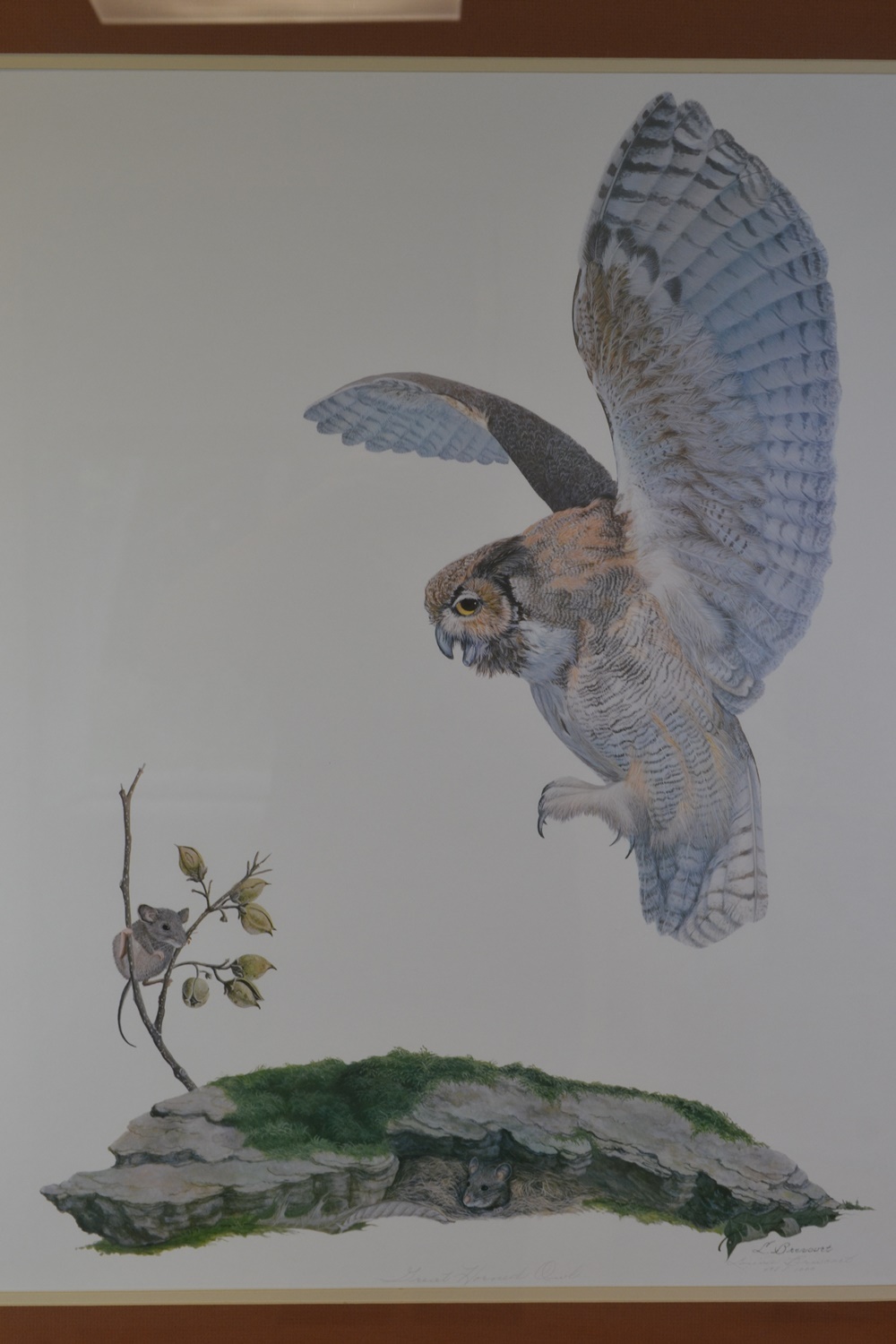 Limited Edition Print After "Great Horned Owl" By Louise Brevoort