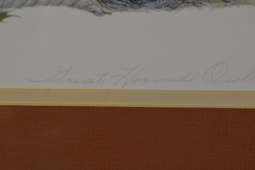 Limited Edition Print After "Great Horned Owl" By Louise Brevoort