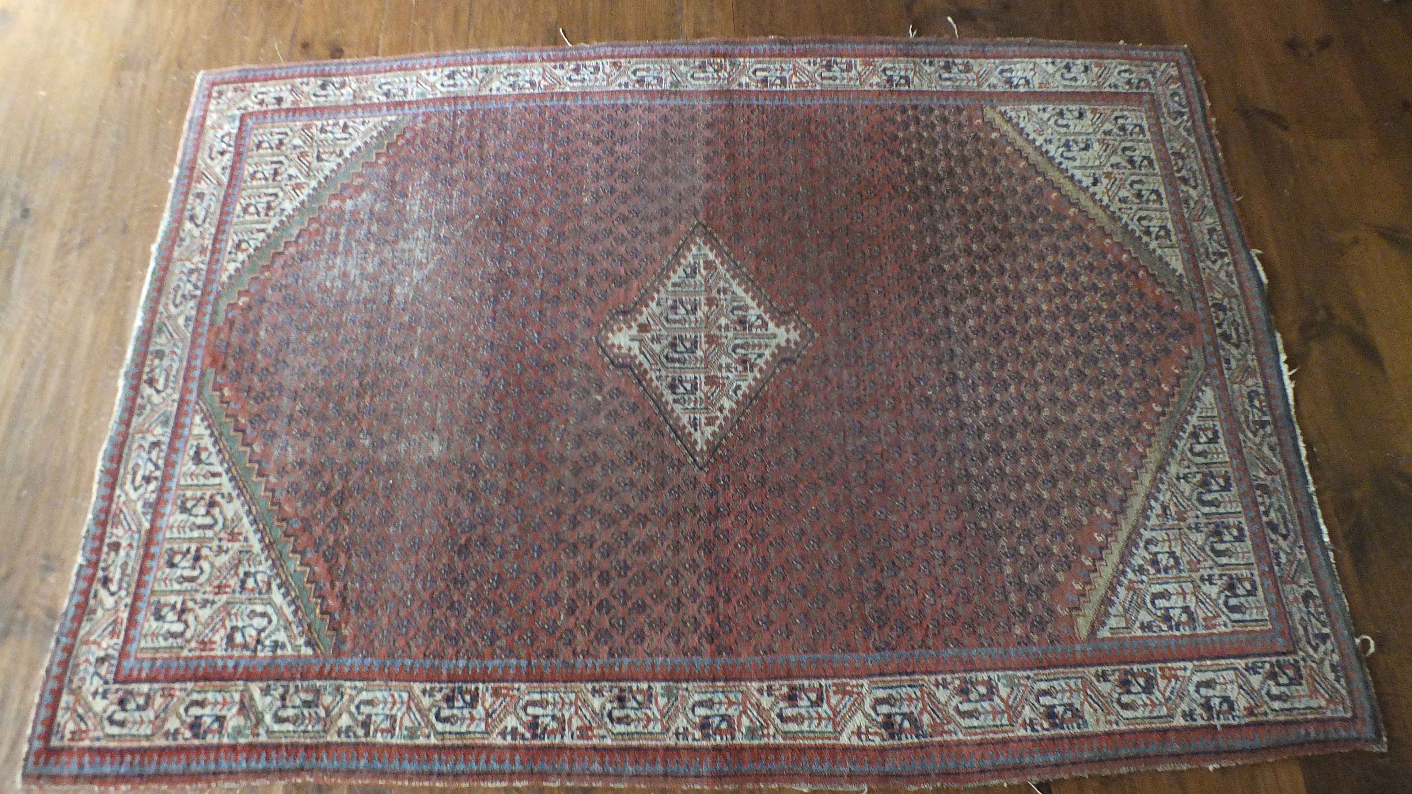 Older Caucasian Style  Area Rug