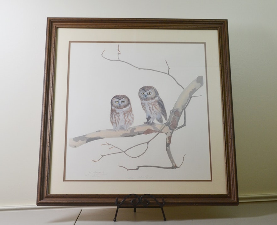 Limited Edition Print After "Saw Whet Owls" By Louise Brevoort