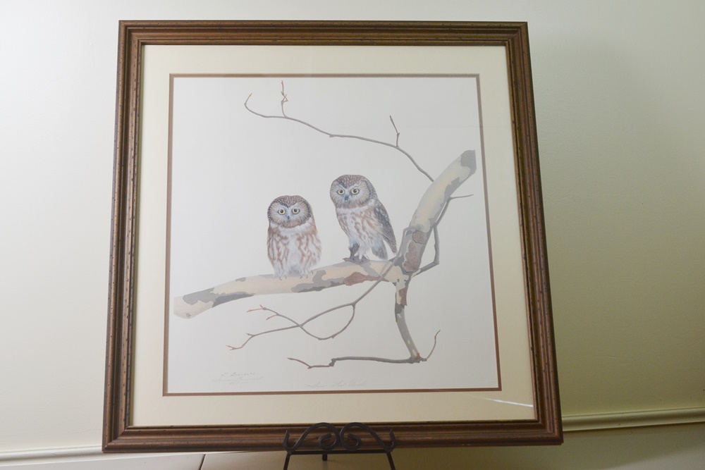 Limited Edition Print After "Saw Whet Owls" By Louise Brevoort