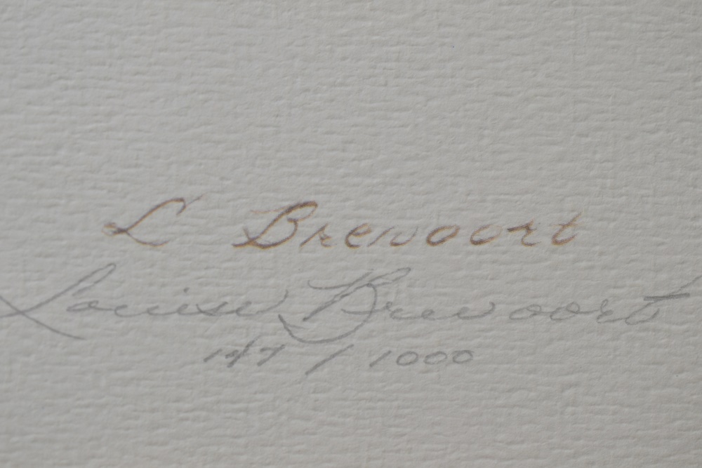 Limited Edition Print After "Saw Whet Owls" By Louise Brevoort