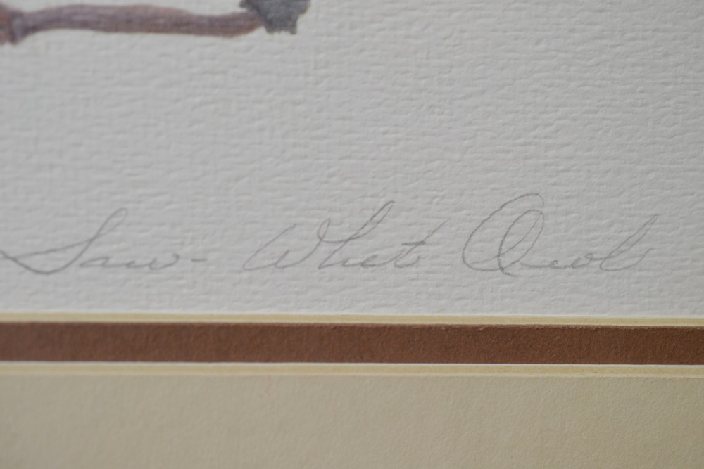 Limited Edition Print After "Saw Whet Owls" By Louise Brevoort