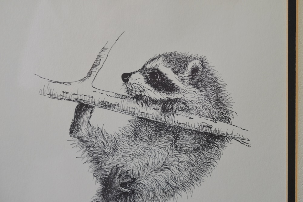Two Artist Signed Raccoon Prints By Louise Brevoort
