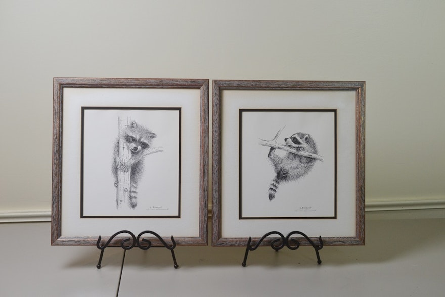 Two Artist Signed Raccoon Prints By Louise Brevoort