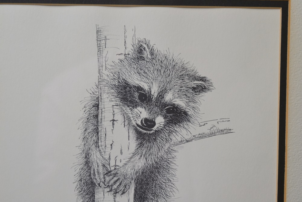Two Artist Signed Raccoon Prints By Louise Brevoort