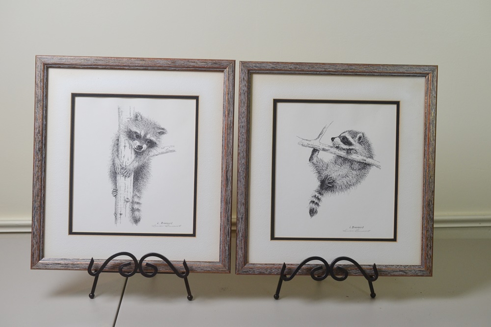 Two Artist Signed Raccoon Prints By Louise Brevoort