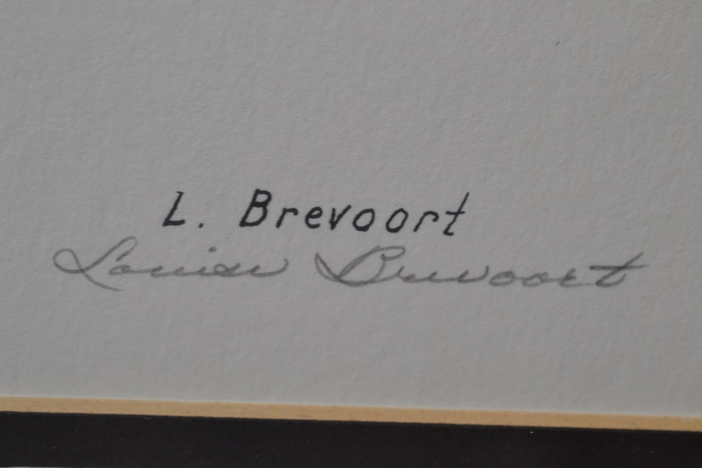 Two Artist Signed Raccoon Prints By Louise Brevoort