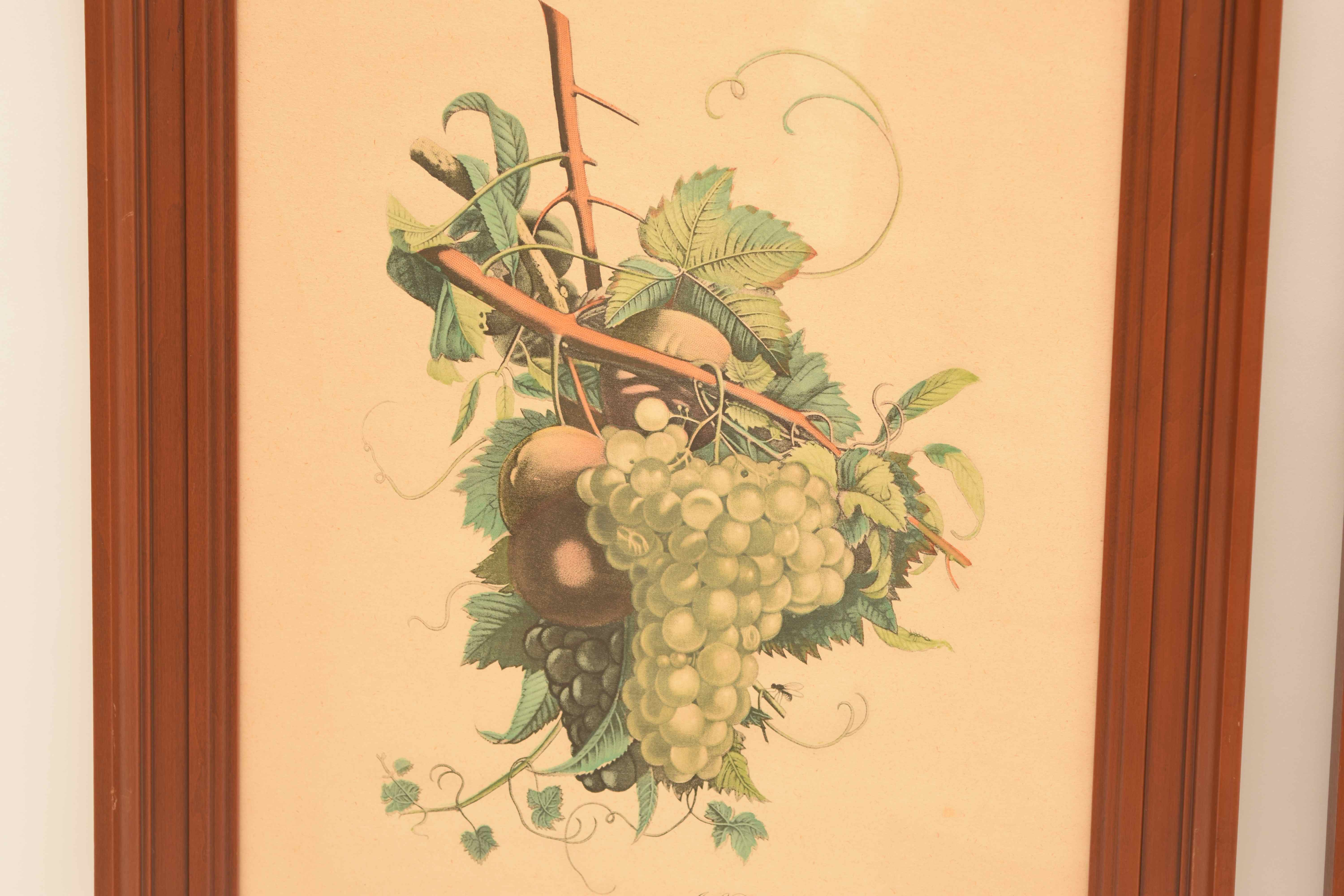 J. L. Prevost: Pair of Still Life Prints