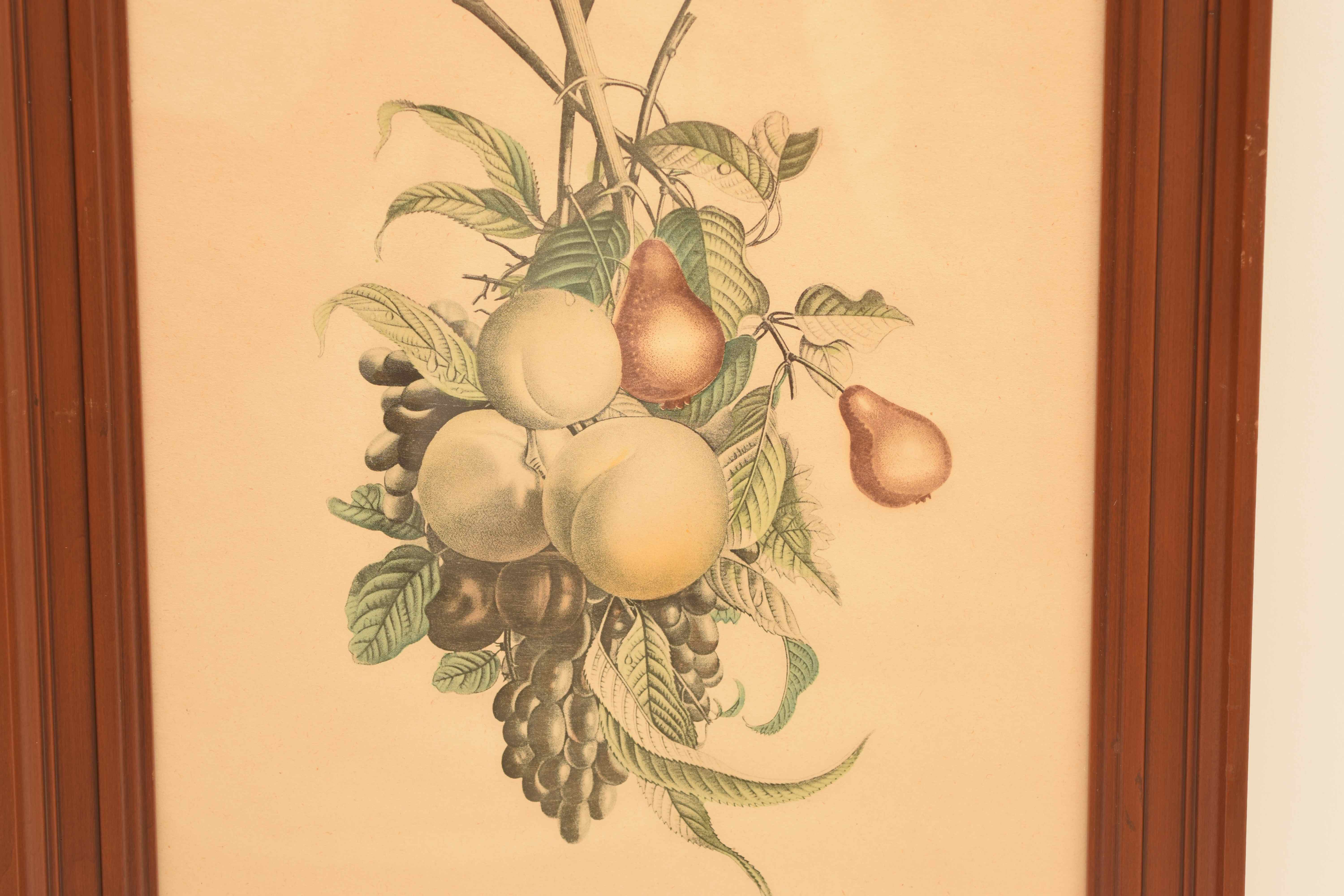 J. L. Prevost: Pair of Still Life Prints