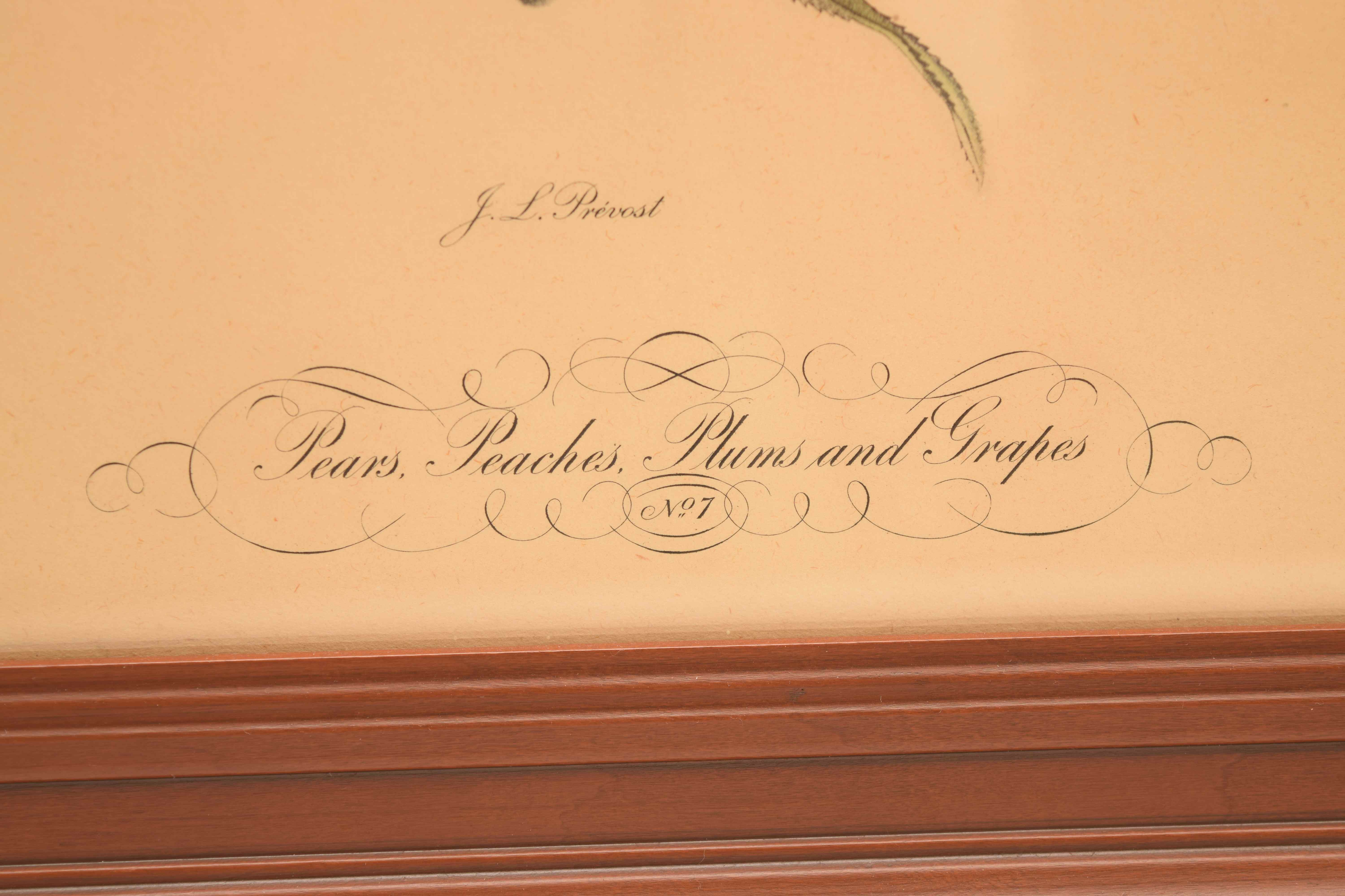 J. L. Prevost: Pair of Still Life Prints