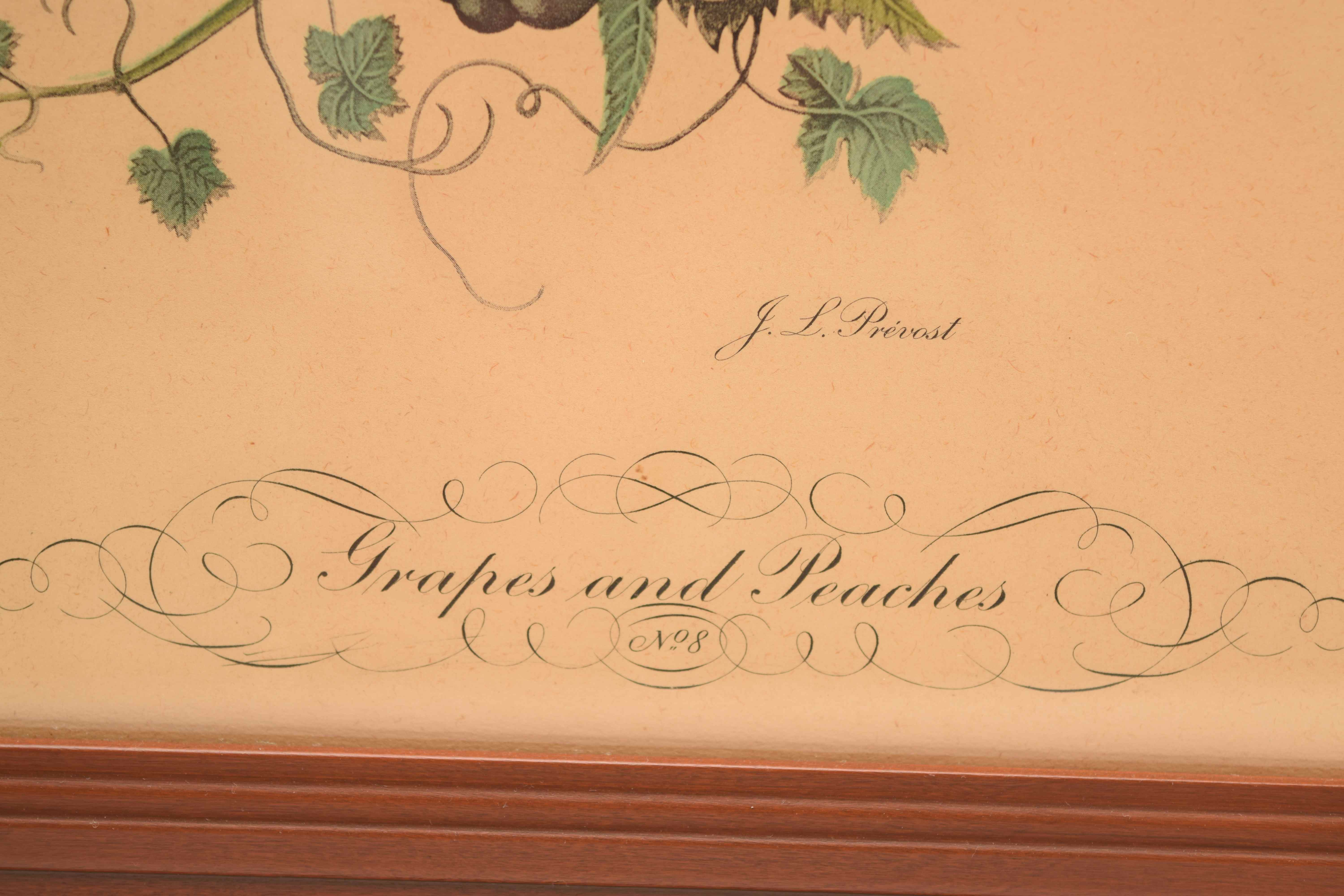 J. L. Prevost: Pair of Still Life Prints