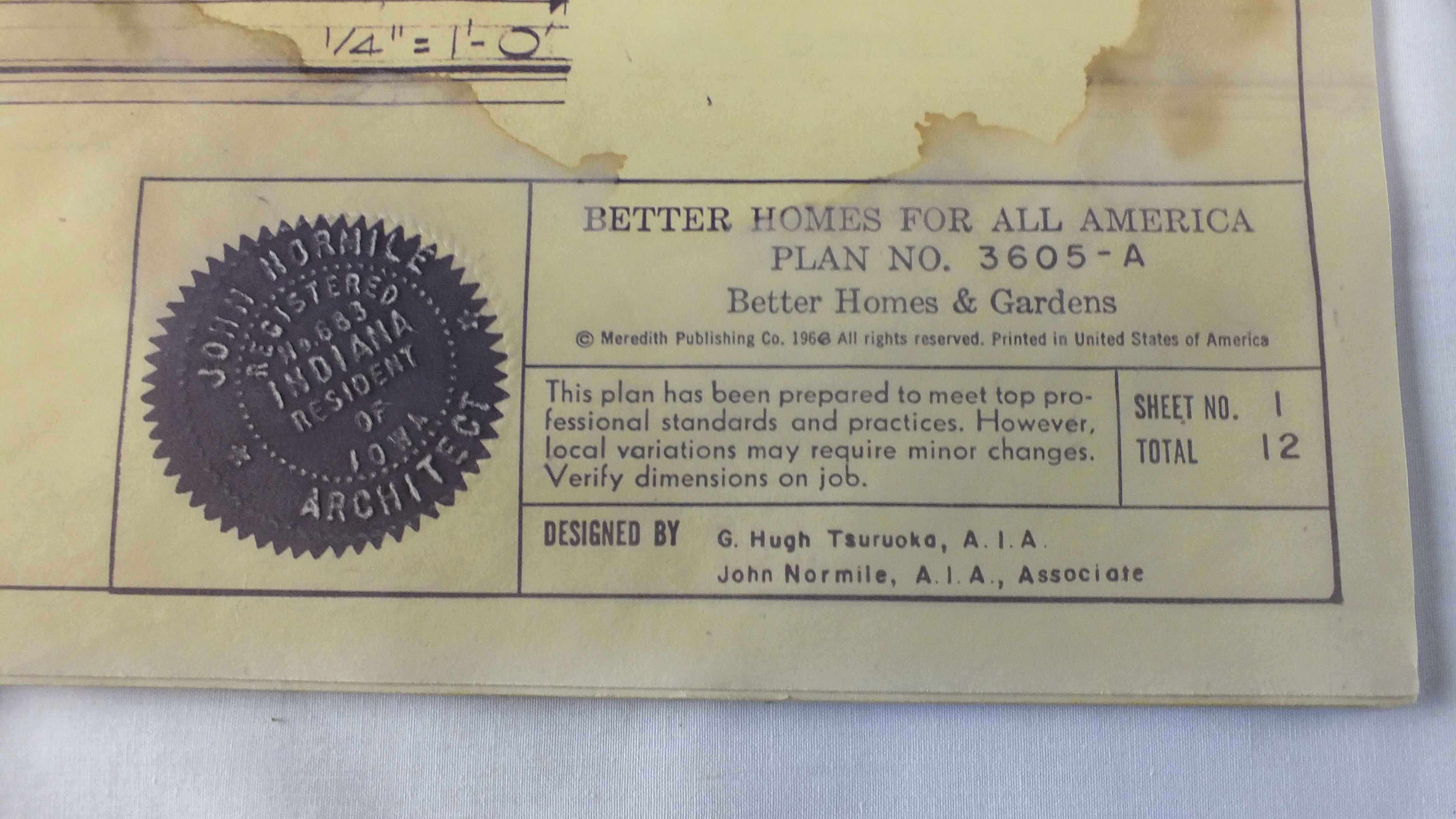 Hand Painted Architectural Rendering, Poster and Plans