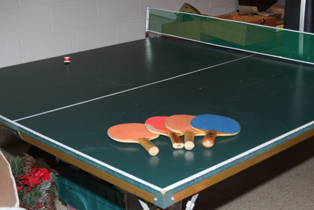 Ping Pong Table, Basketball Hoop, Board Games, and Shuffleboard