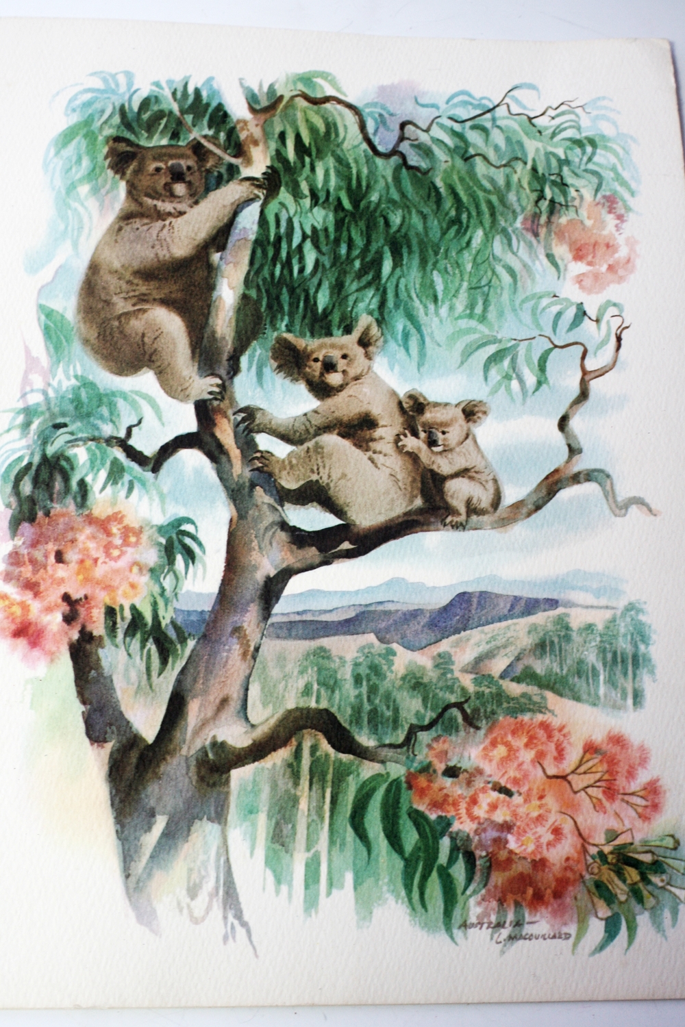 Vintage Cincinnati Restaurant Menus 