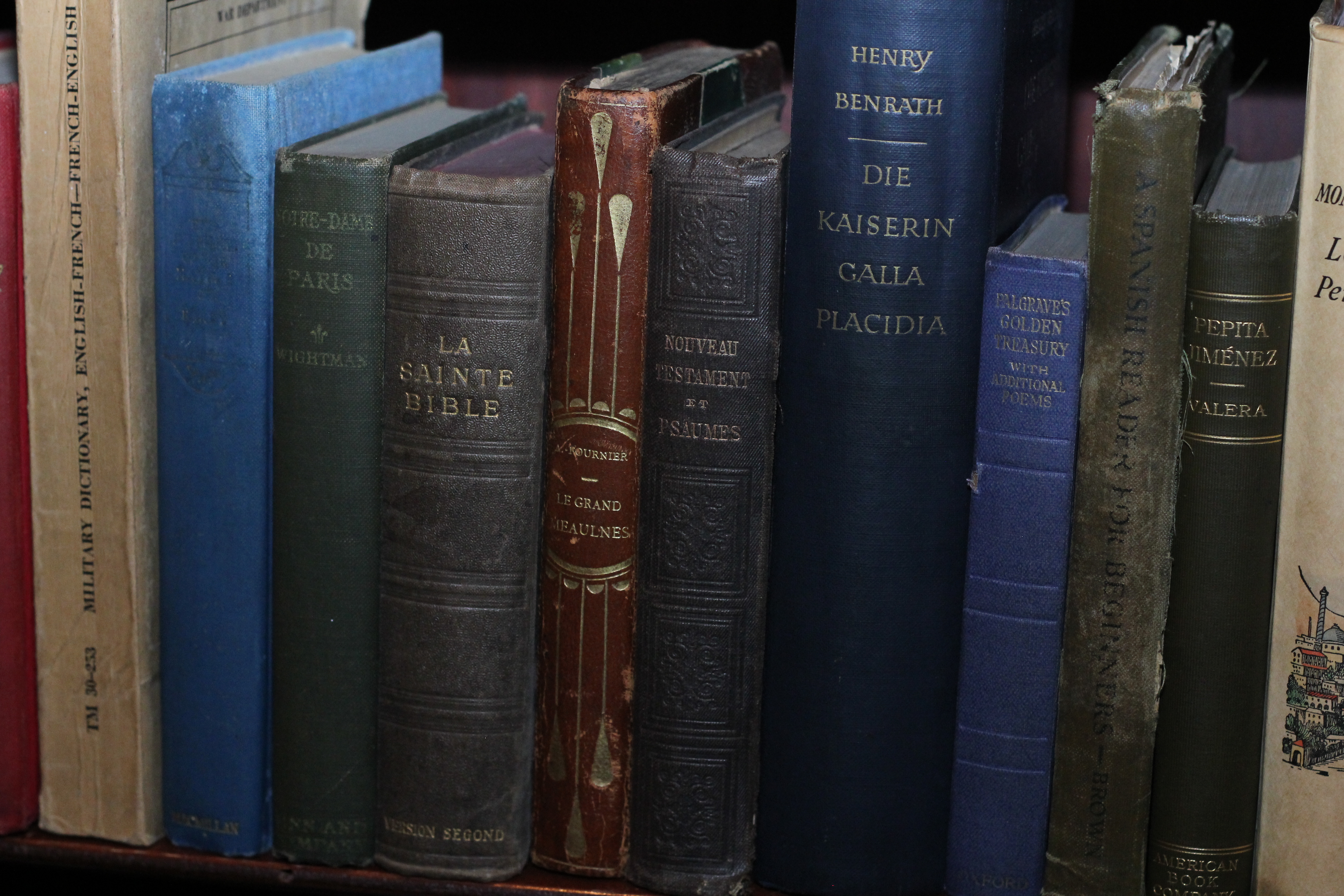 French, Italian, German, and Spanish Books 