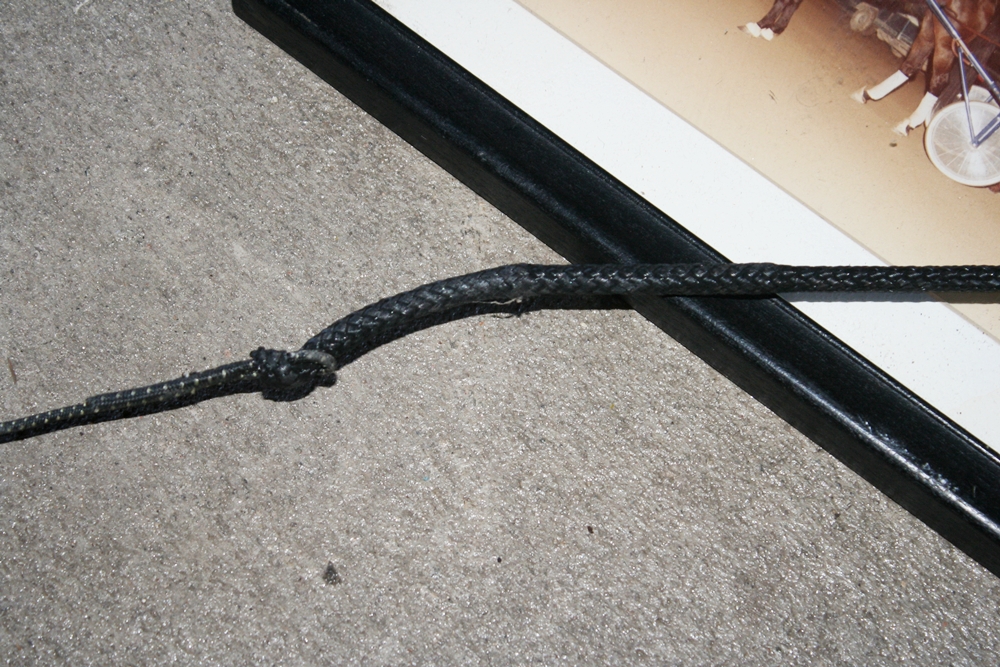 Winning Race and Carting Horses Framed Photos 