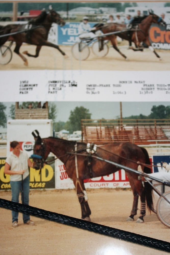 Winning Race and Carting Horses Framed Photos 