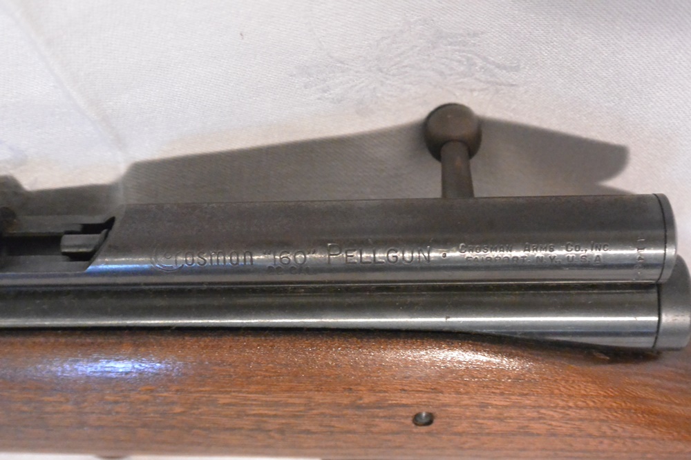 Crosman 160 Gas Powered Pellet Gun and Daisy Model 36 BB Gun