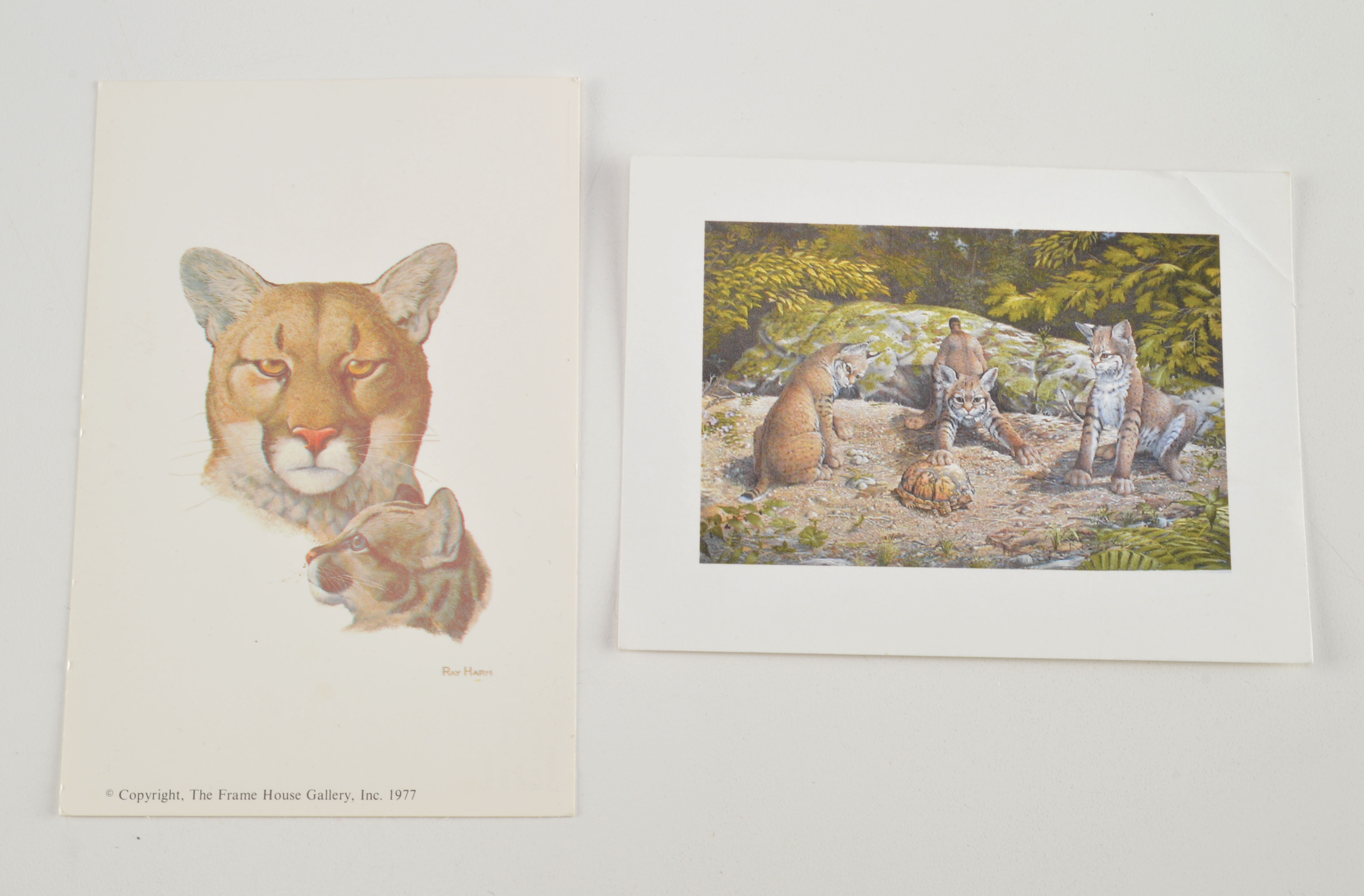 Ray Harm Wildlife Prints, Three Pencil Signed 