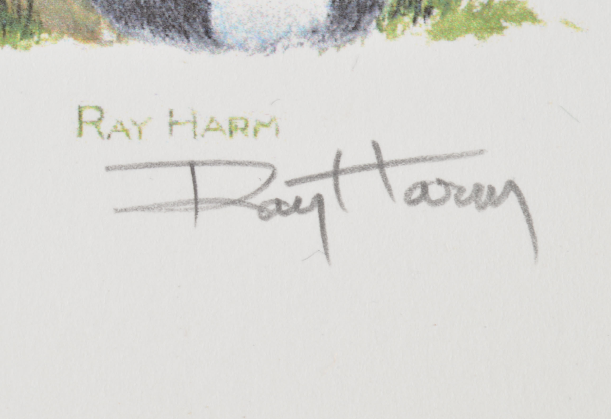 Ray Harm Wildlife Prints, Three Pencil Signed 
