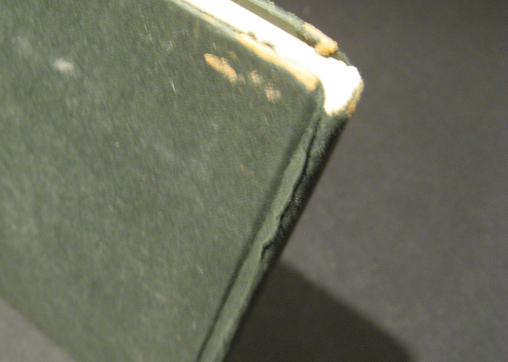 Early Edition Copy of "The Tale of Mrs. Tiggy Winkle"